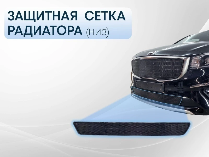 Защитная сетка радиатора низ для Kia Carnival (YP) III Рестайлинг Черный Стрелка 11 KCAR.bot.black
