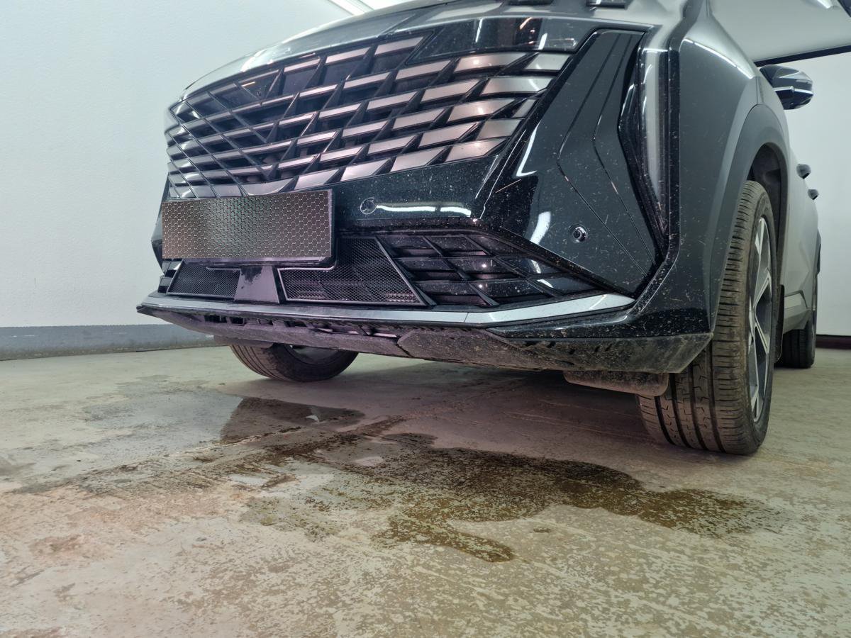 Защитная сетка радиатора низ 2 части для Geely Atlas II