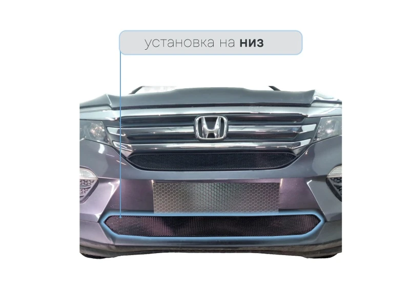 Защитная сетка радиатора низ для Honda Pilot III Черный Стрелка 11 HPIL15.bot.black