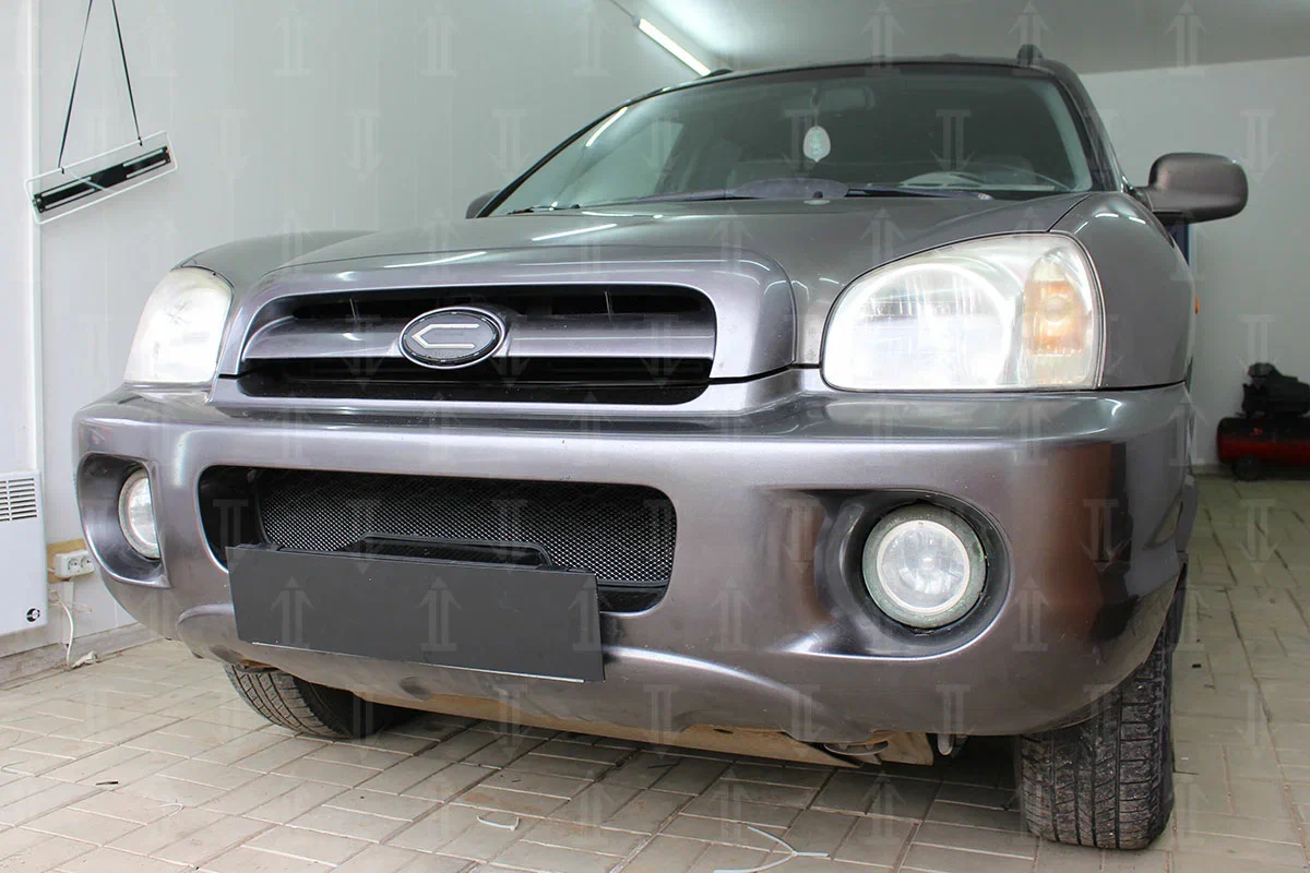 Защитная сетка радиатора низ для Hyundai Santa Fe I