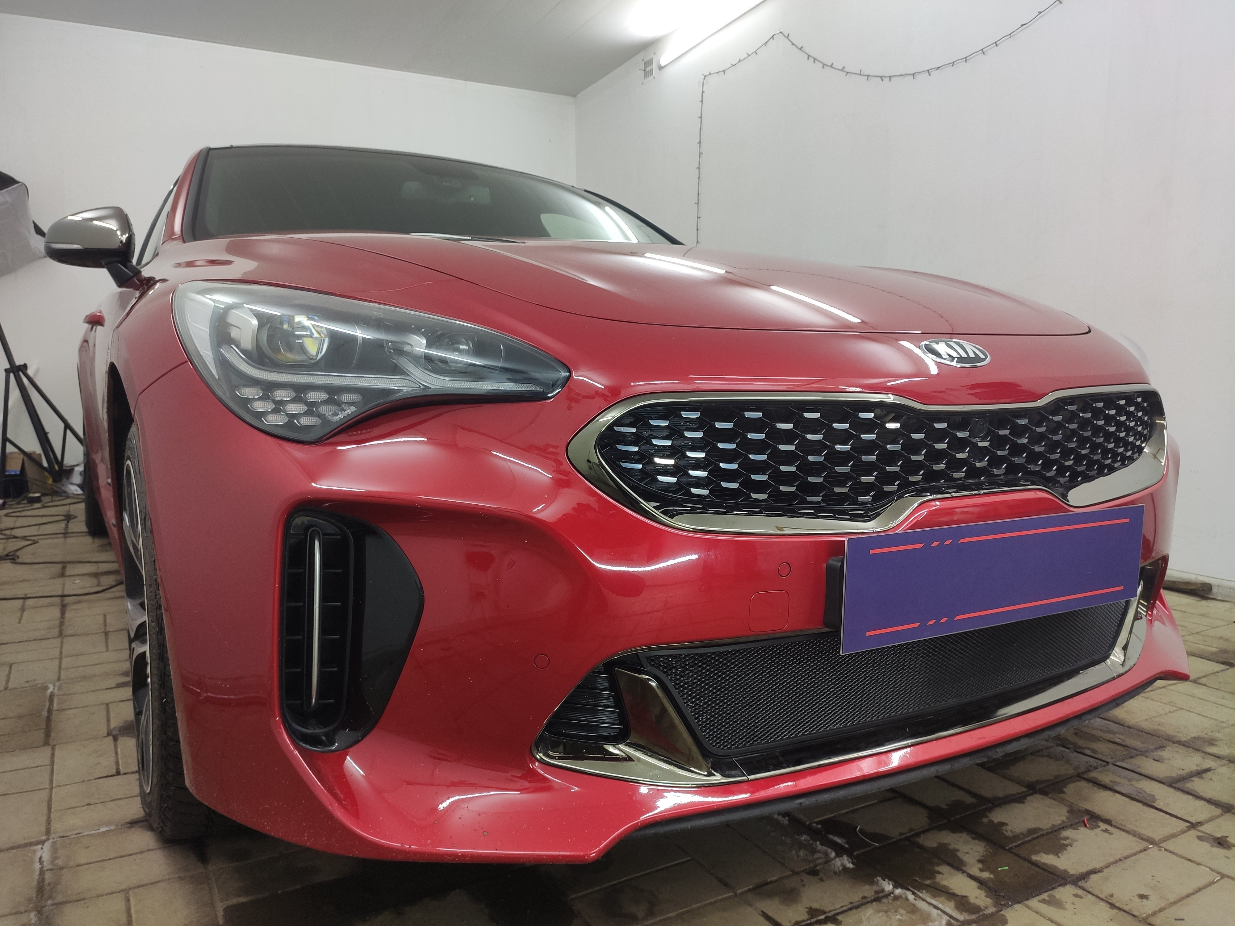 Защитная сетка радиатора низ для Kia Stinger I