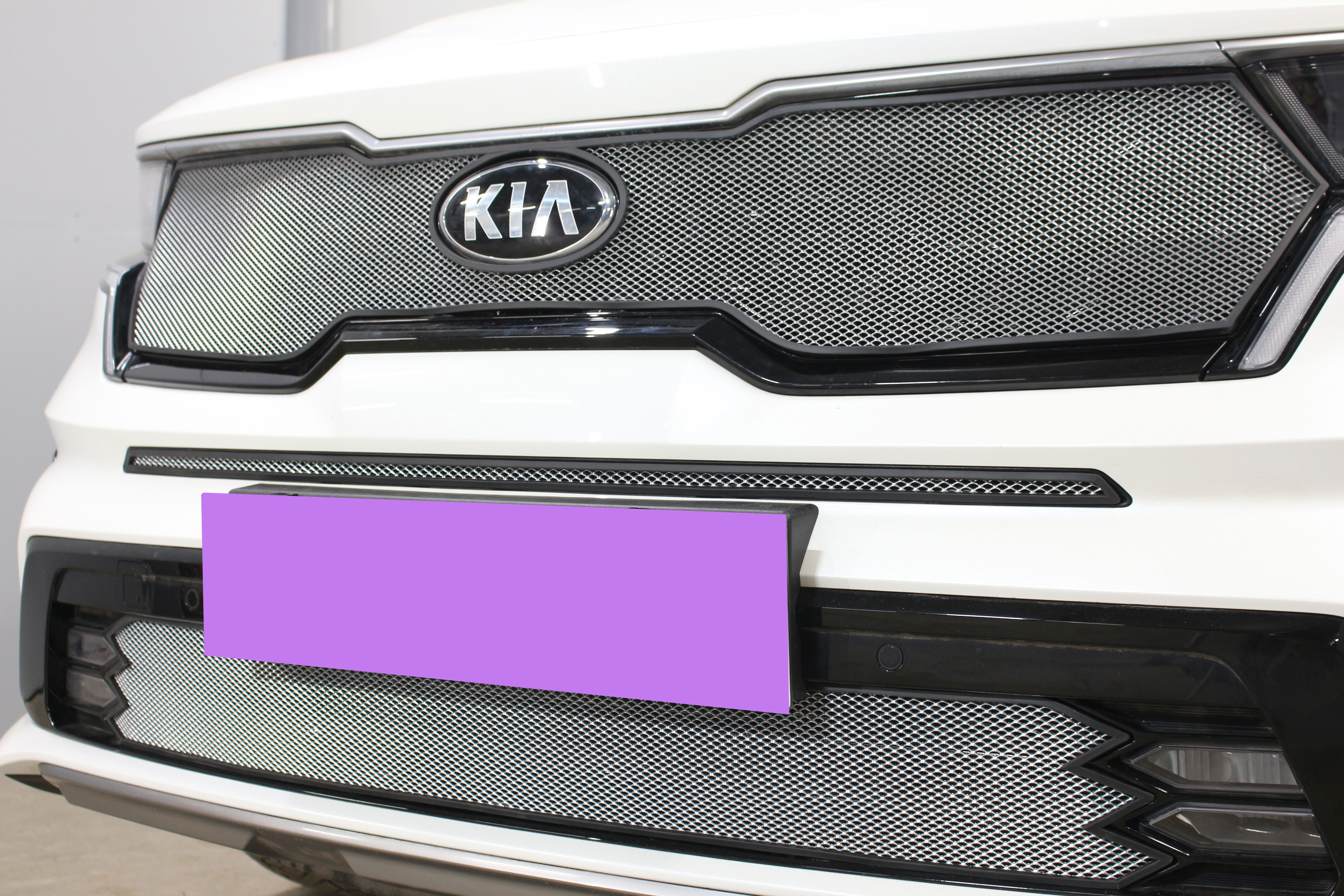Защитная сетка радиатора низ, с ПТФ для Kia Sorento IV