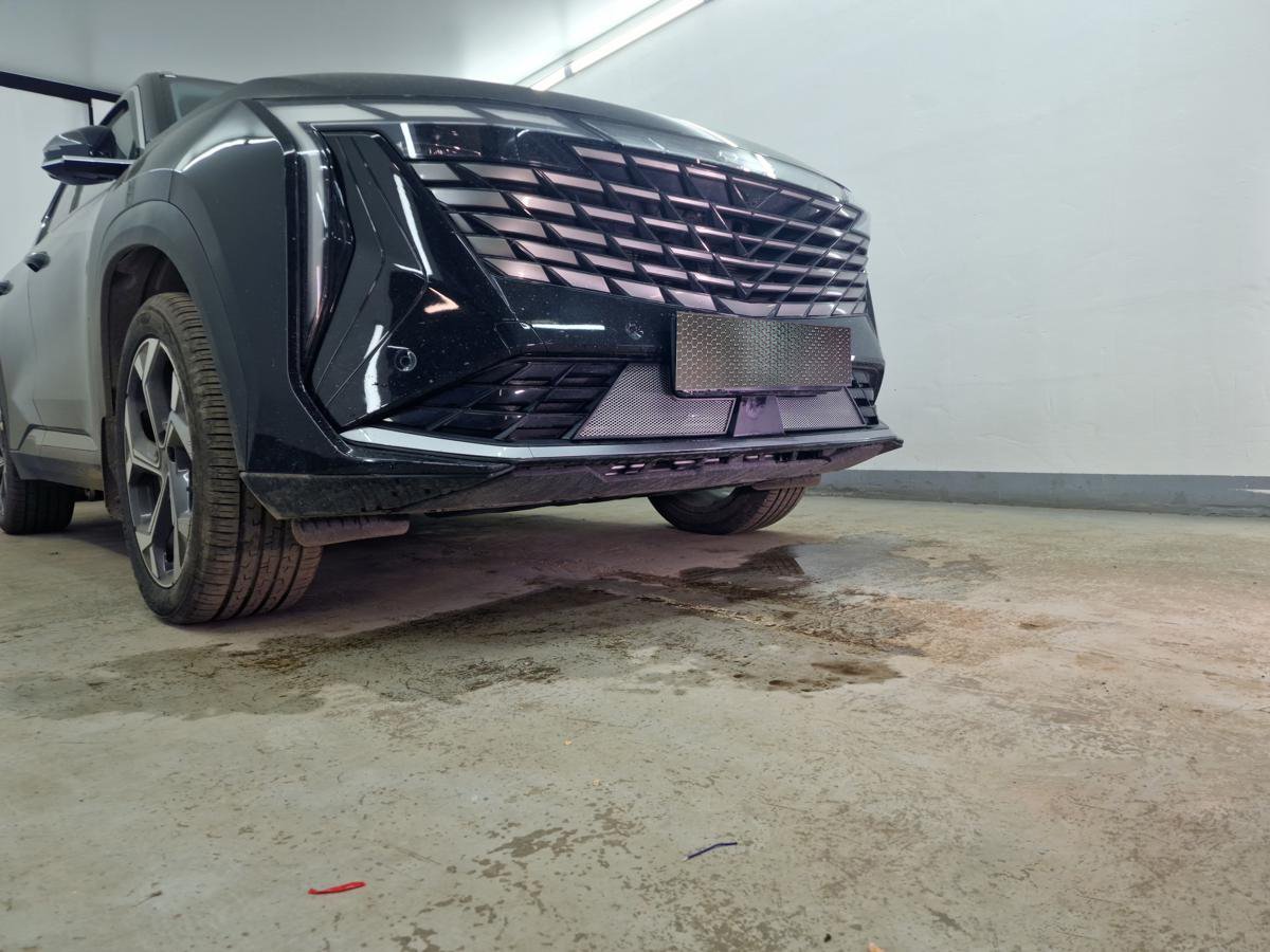 Защитная сетка радиатора низ 2 части для Geely Atlas II