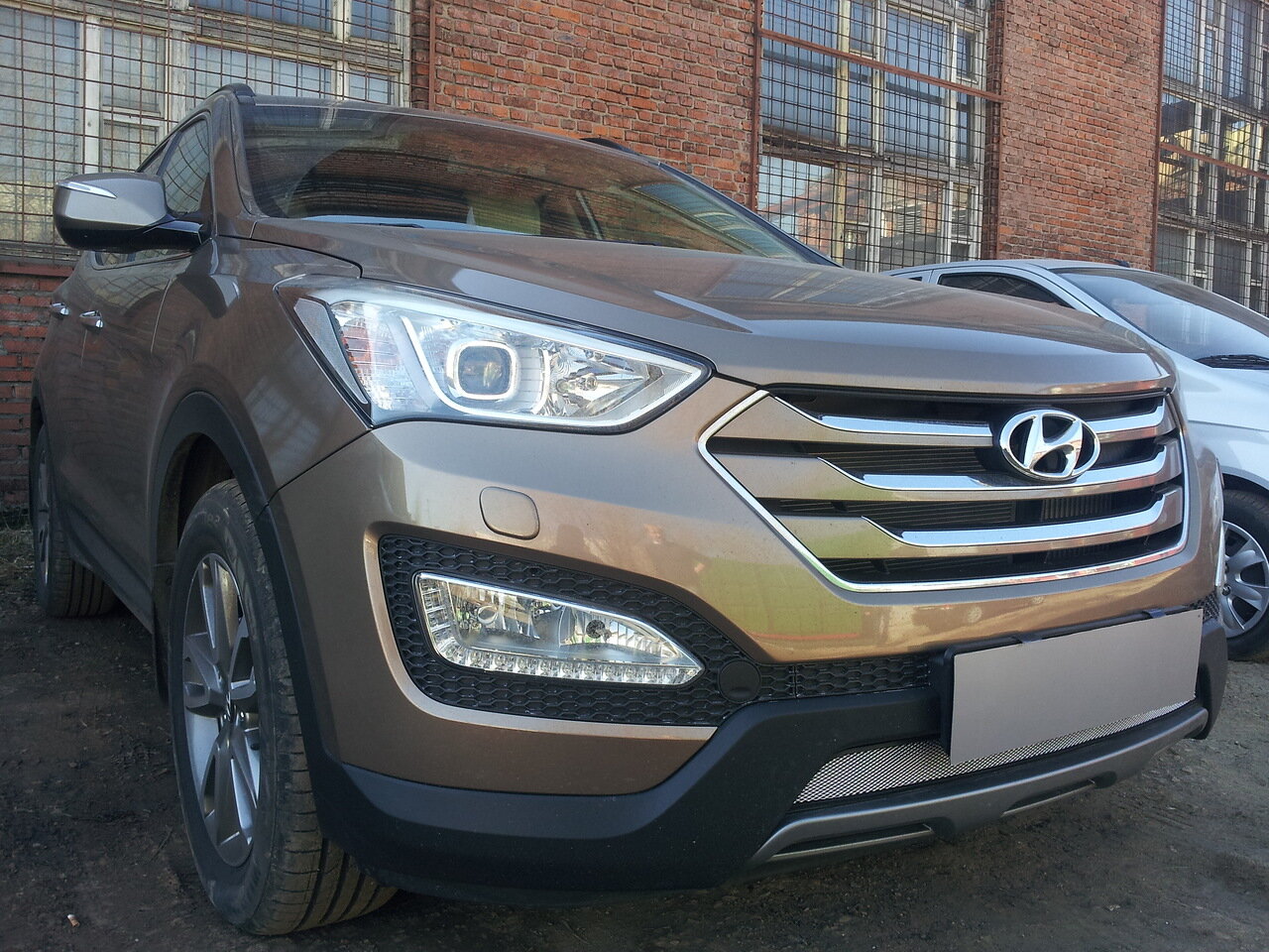 Защитная сетка радиатора для Hyundai Santa Fe III