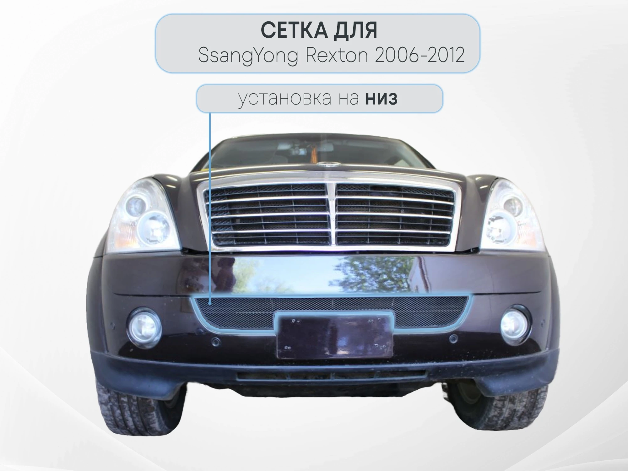 Защитная сетка радиатора для SsangYong Rexton II Черный Стрелка 11 SYREX06.black