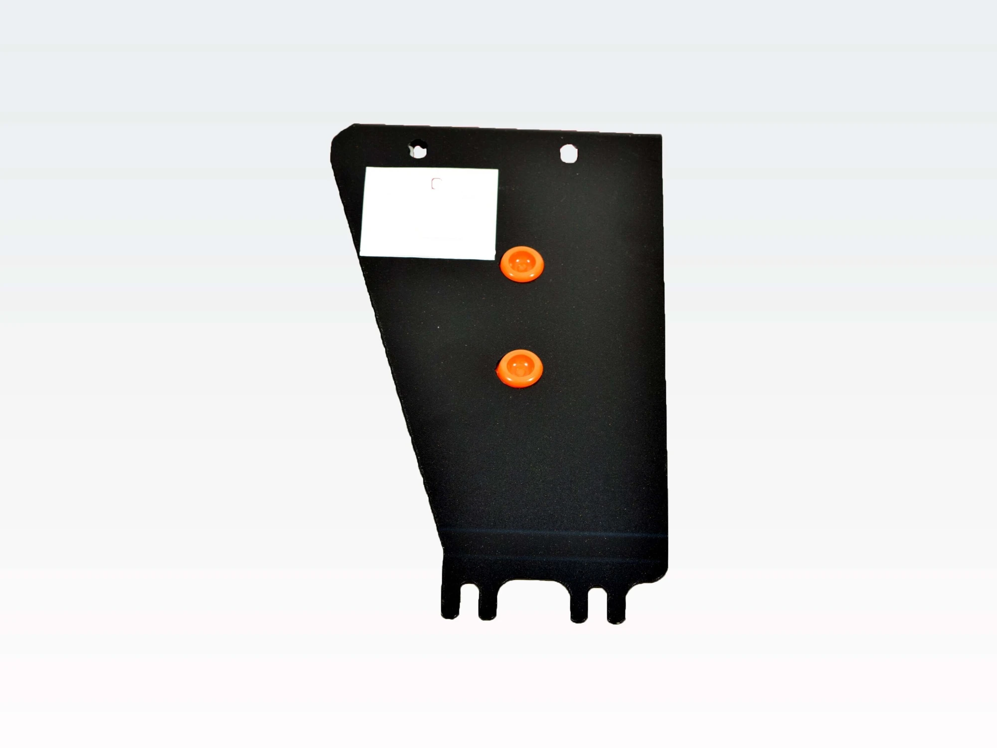 Защита редуктора заднего моста для Toyota RAV4 III (XA30) Рестайлинг Черный