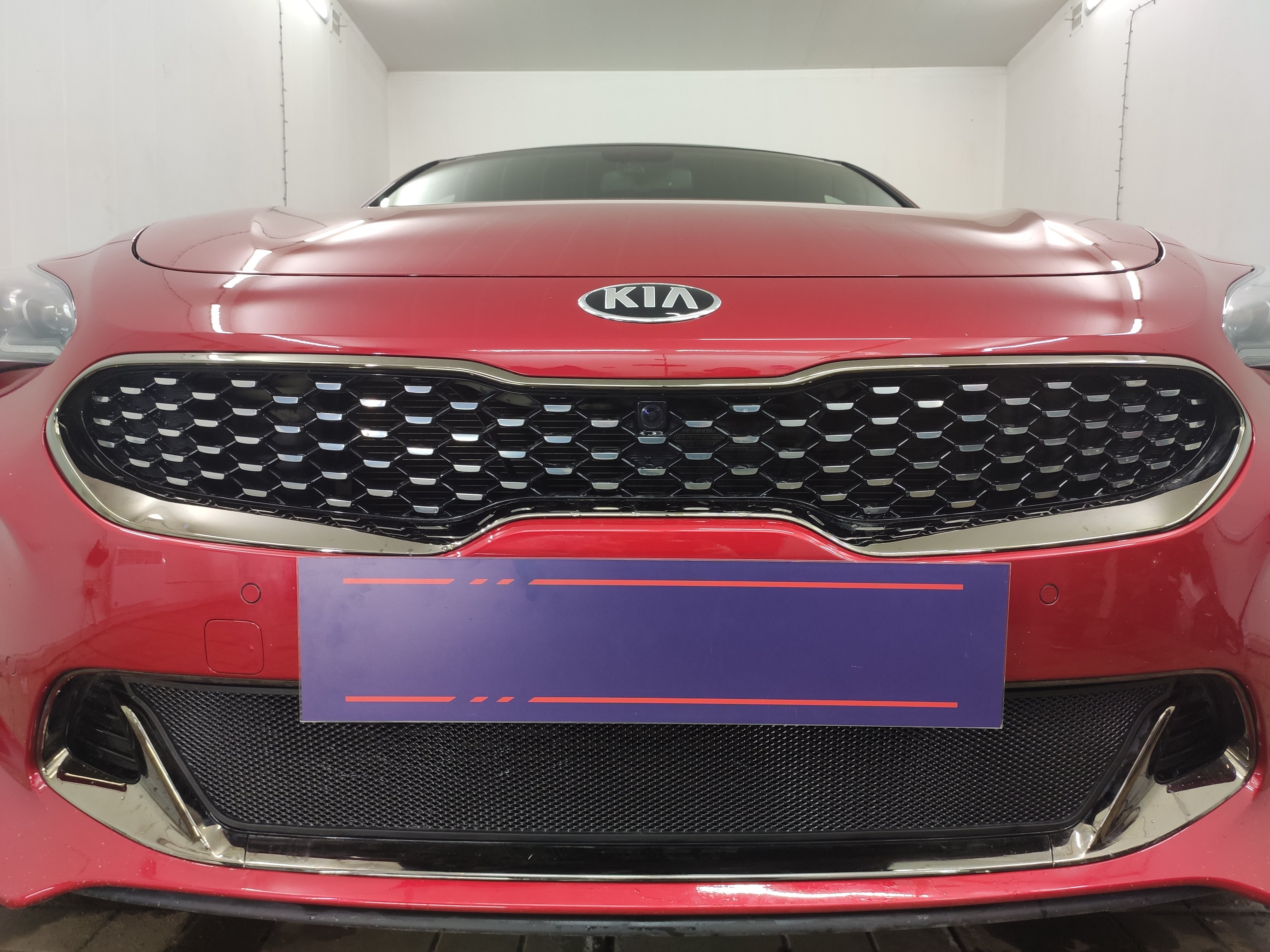 Защитная сетка радиатора низ для Kia Stinger I