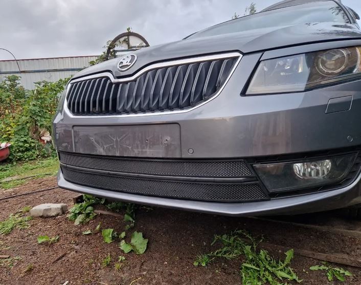 Защитная сетка радиатора для Skoda Octavia III (A7)
