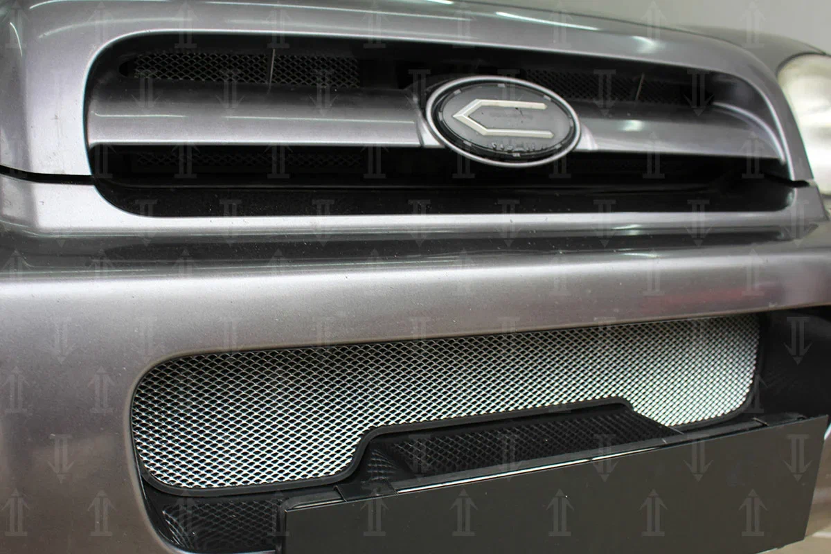 Защитная сетка радиатора верх 2 части для Hyundai Santa Fe I