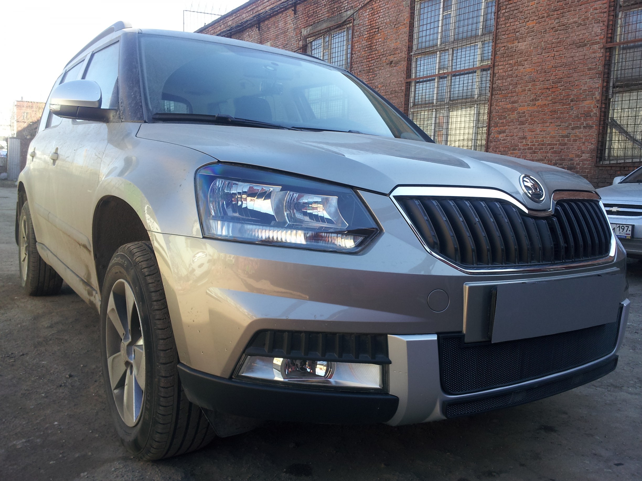 Защитная сетка радиатора центр для Skoda Yeti I Рестайлинг