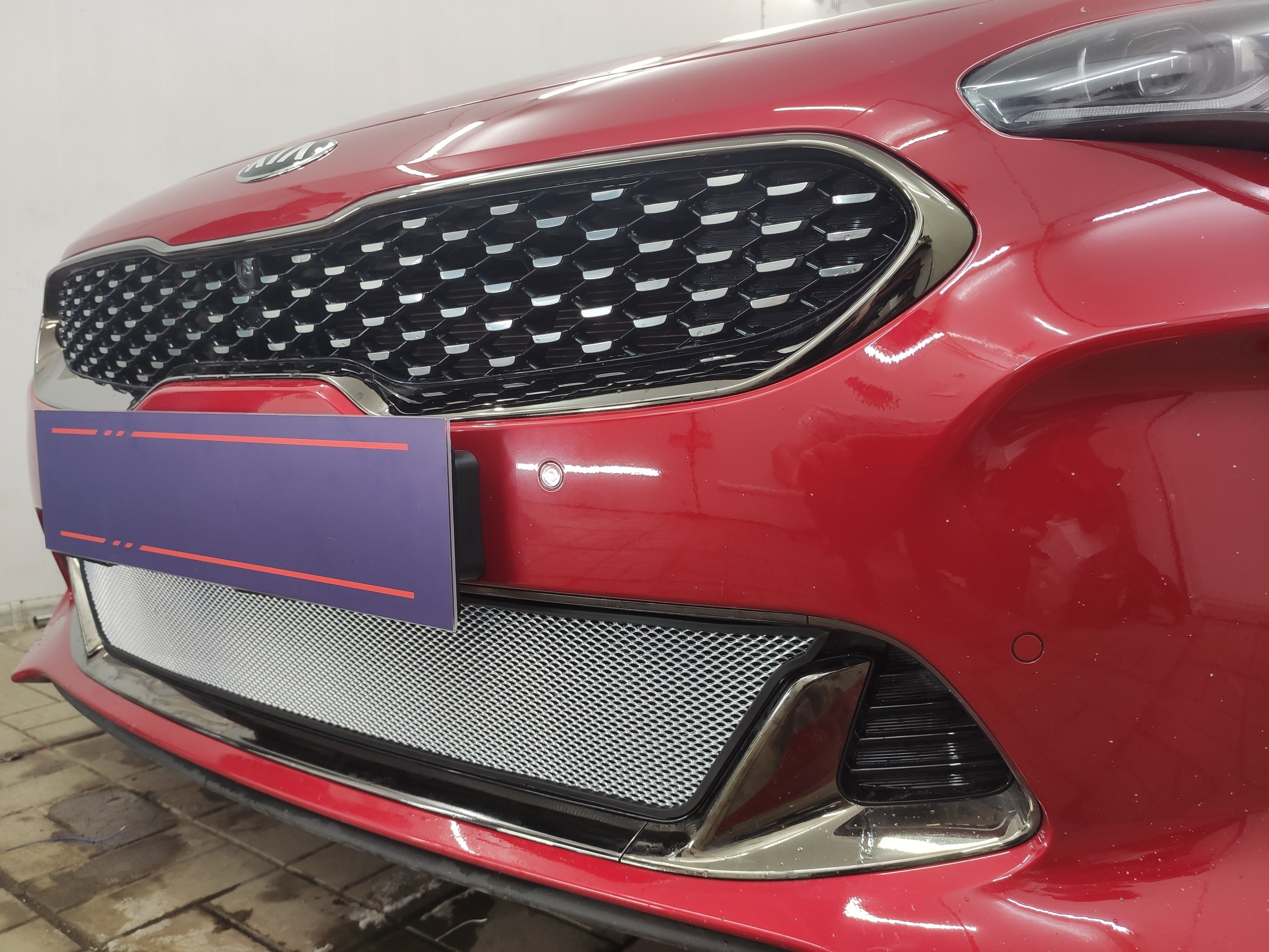 Защитная сетка радиатора низ для Kia Stinger I