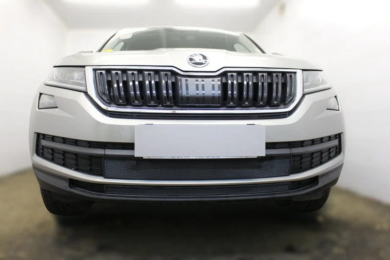 Комплект сеток black верх и низ 2 части для Skoda Kodiaq I Черный Стрелка 11 SKKOD.top.black-SKKOD.bot.black