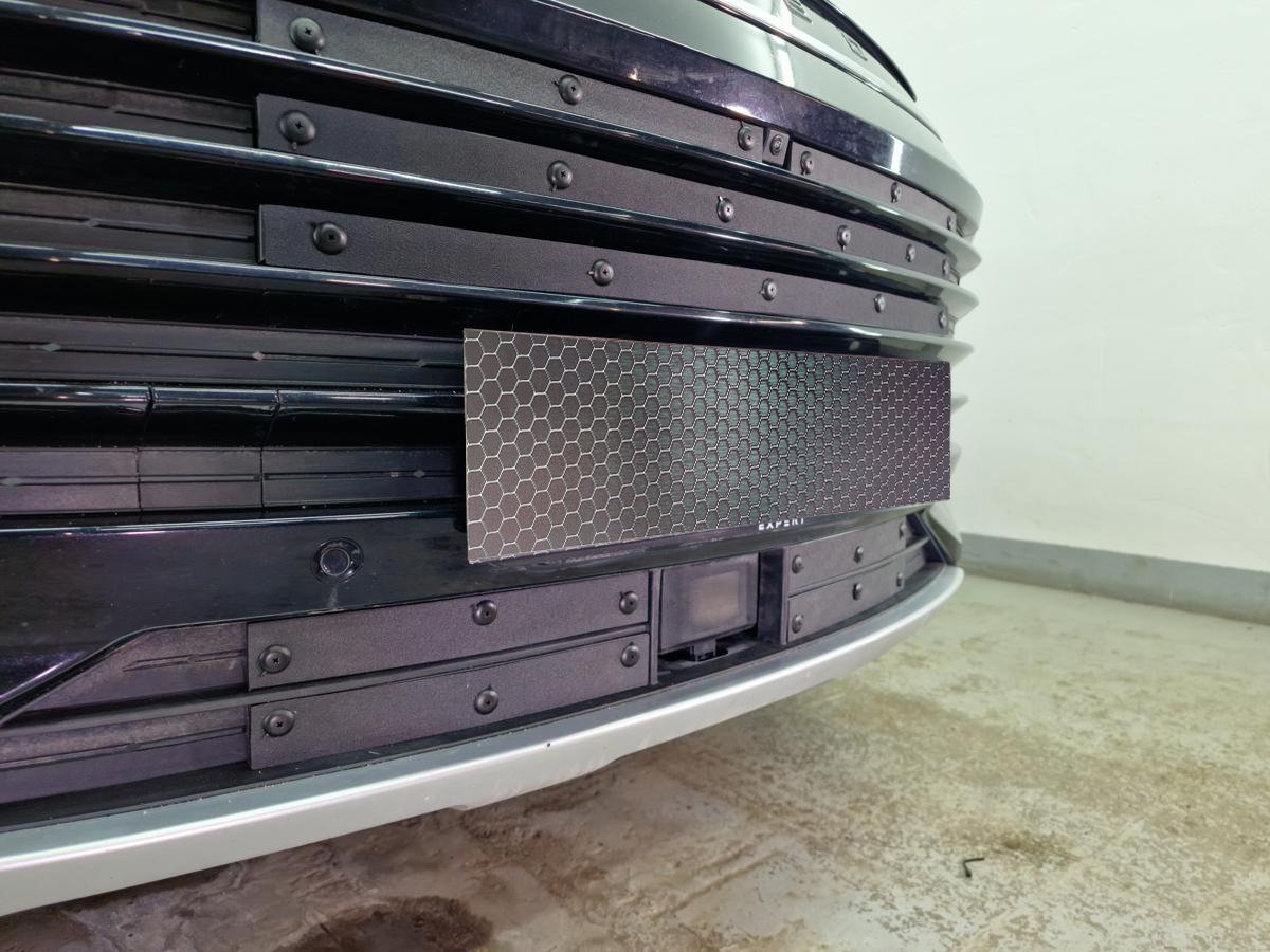 Зимняя заглушка радиатора к съемной сетке низ (4 части) для EXEED TXL I Рестайлинг 1