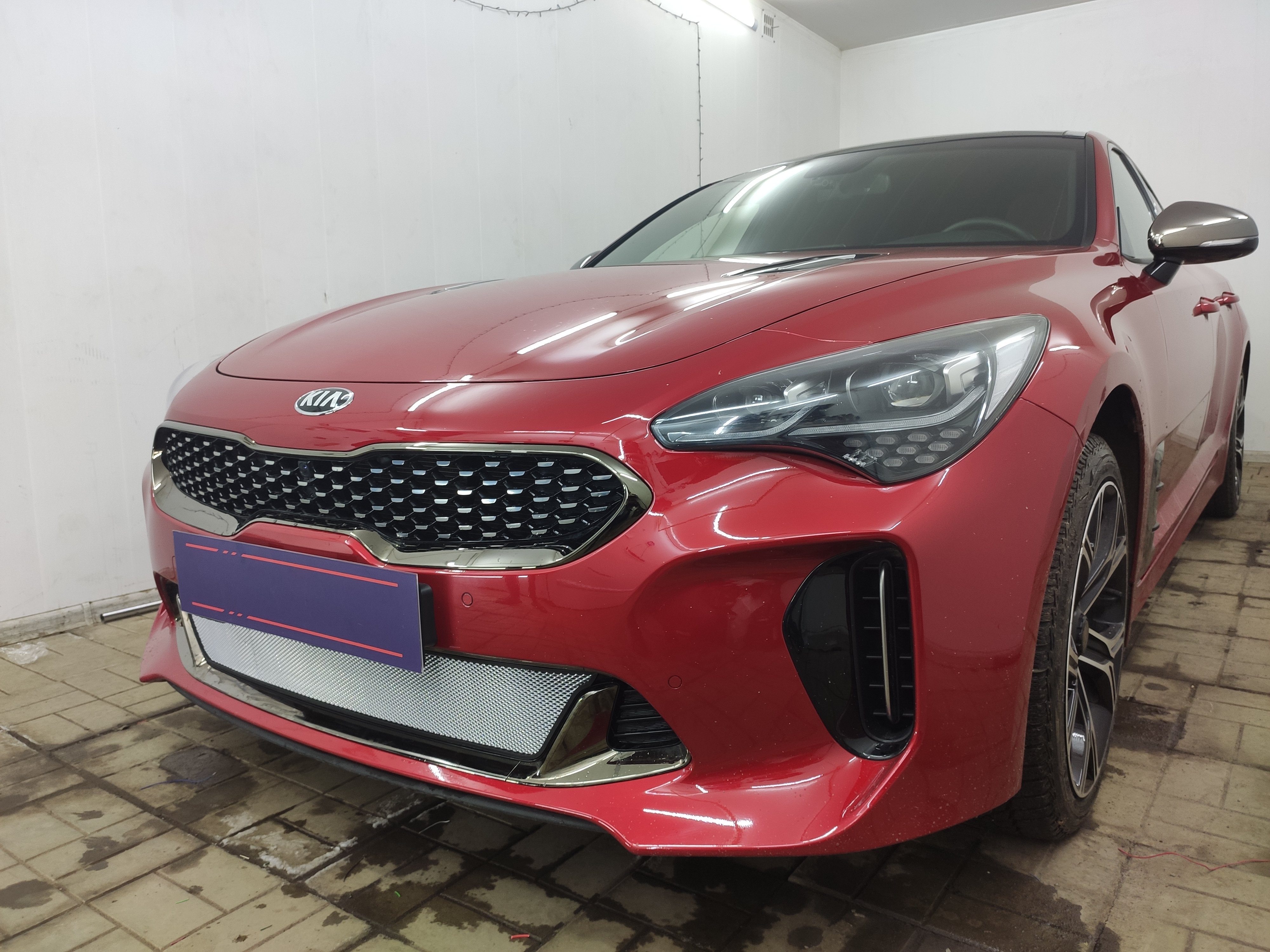 Защитная сетка радиатора низ для Kia Stinger I