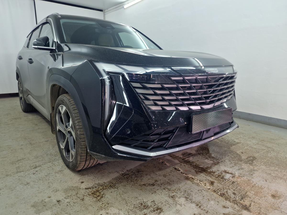 Защитная сетка радиатора низ 2 части для Geely Atlas II