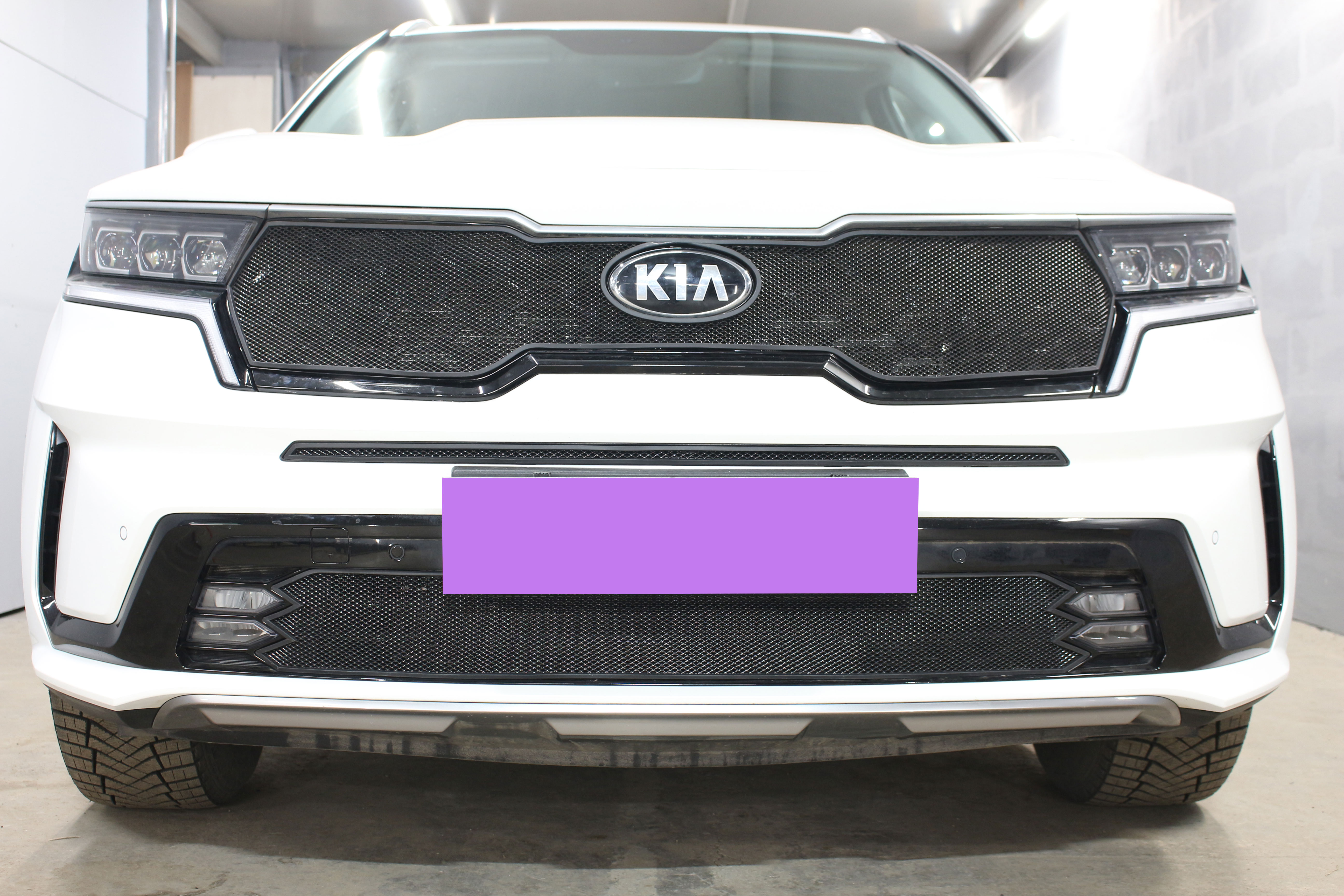 Защитная сетка радиатора верх для Kia Sorento IV