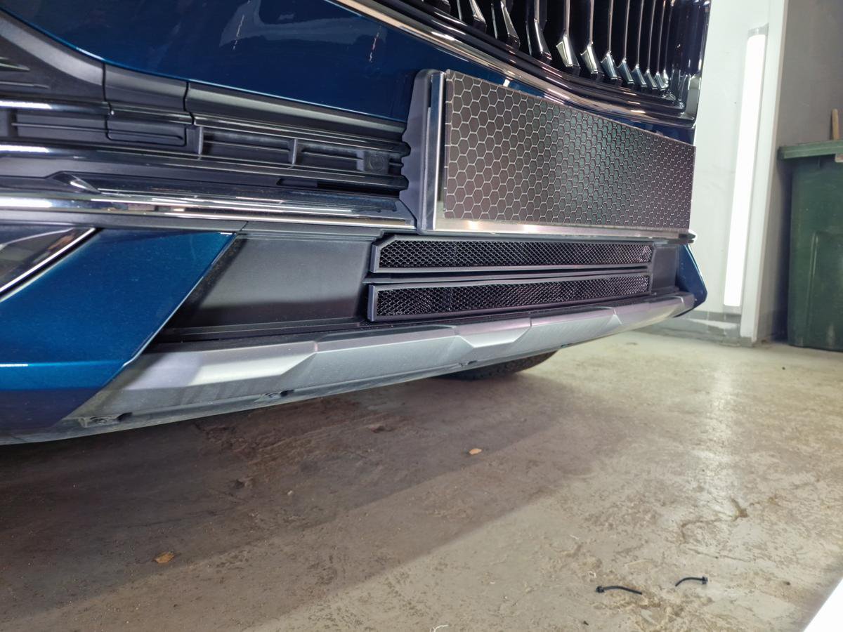 Защитная сетка радиатора низ 2 части для Geely Monjaro