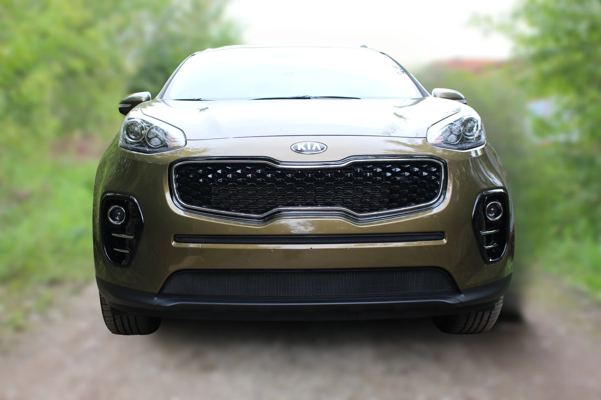 Комплект сеток black низ и центр для Kia Sportage IV