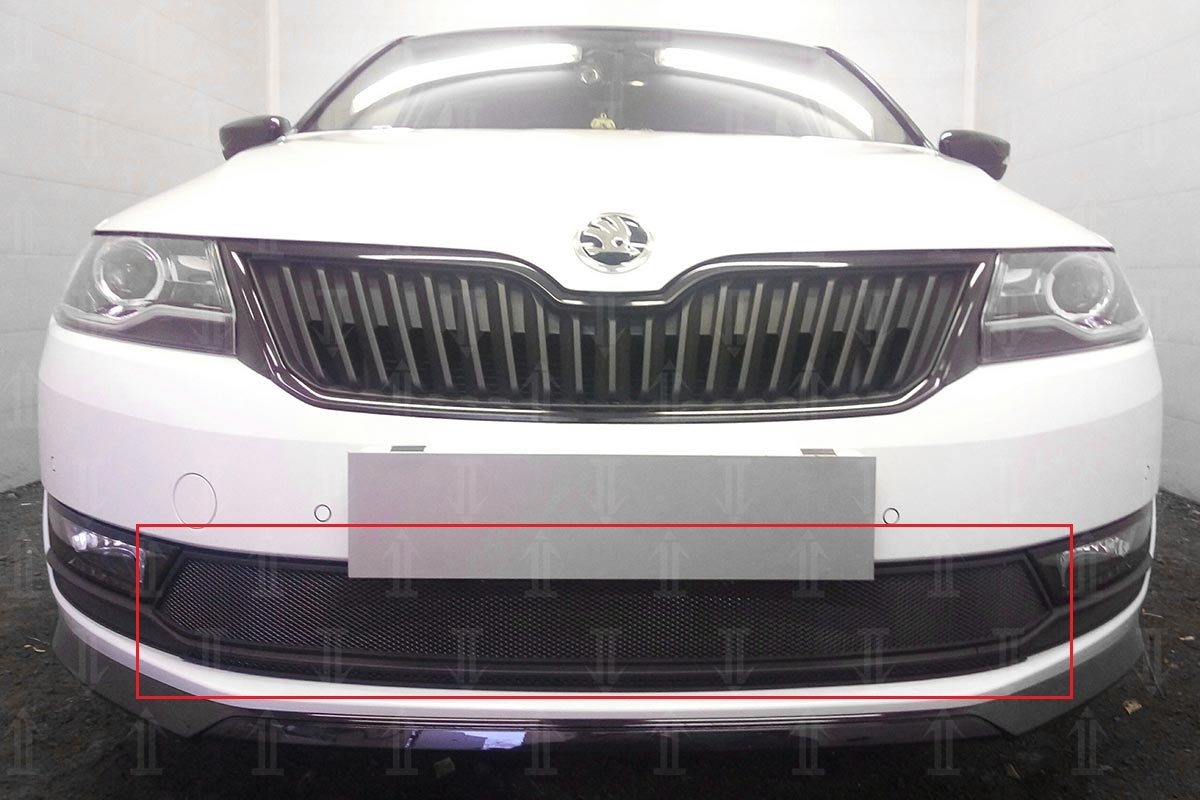 Защитная сетка радиатора 2 части для Skoda Rapid I Рестайлинг