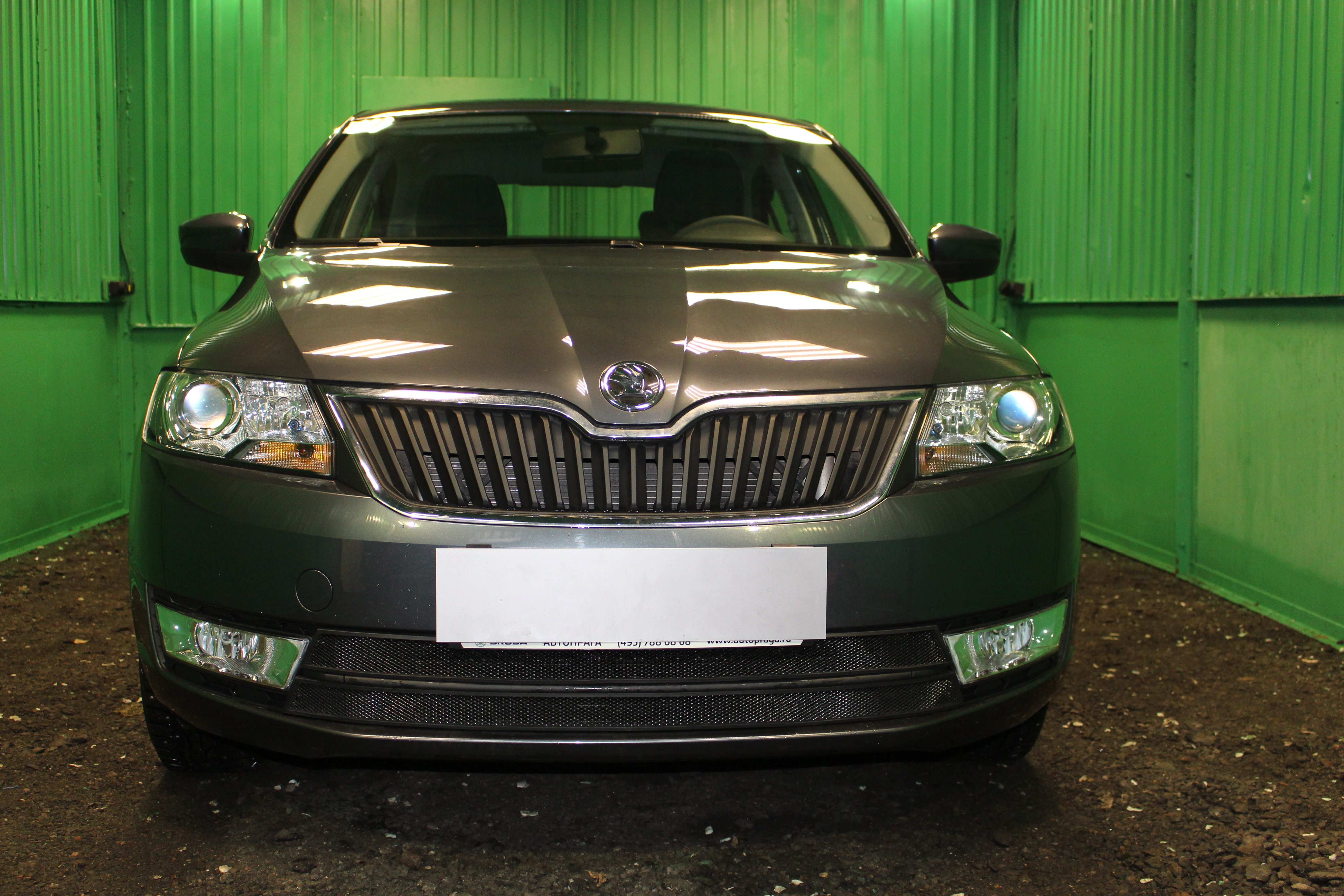 Защитная сетка радиатора 2 части для Skoda Rapid I