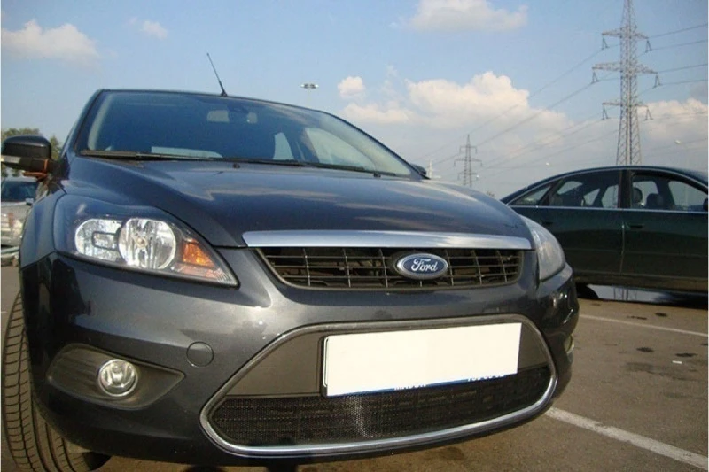 Защитная сетка радиатора для Ford Focus II Рестайлинг Черный Стрелка 11 FF2.black