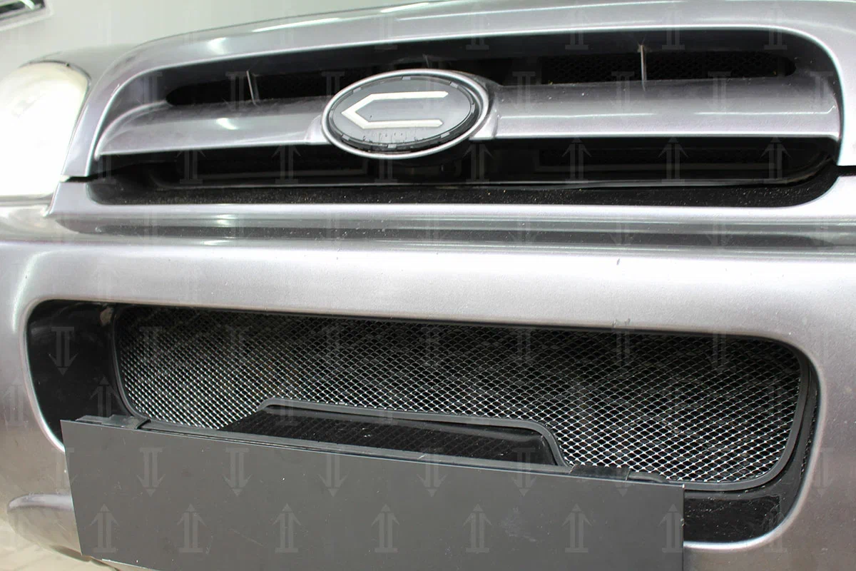 Защитная сетка радиатора низ для Hyundai Santa Fe I