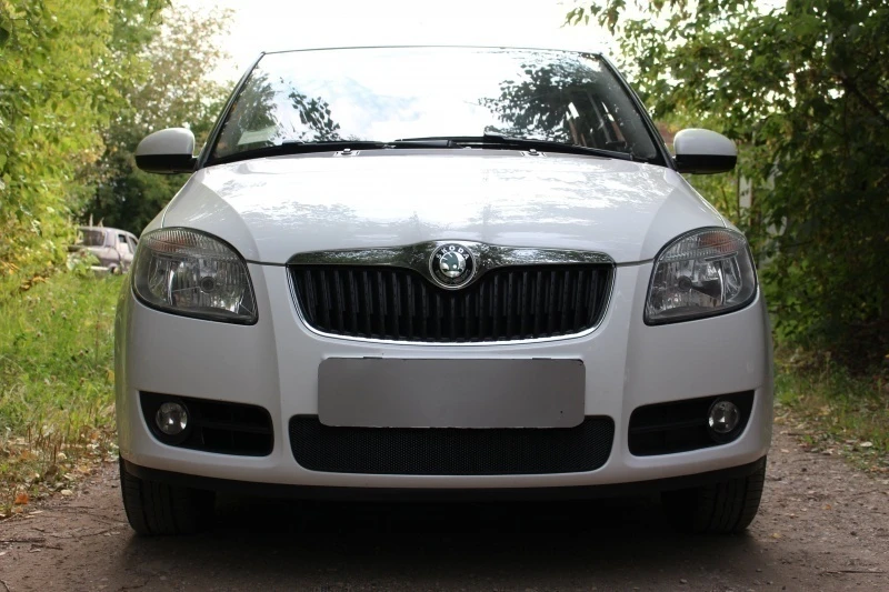 Защитная сетка радиатора для Skoda Roomster I Рестайлинг Черный Стрелка 11 SKFB.black