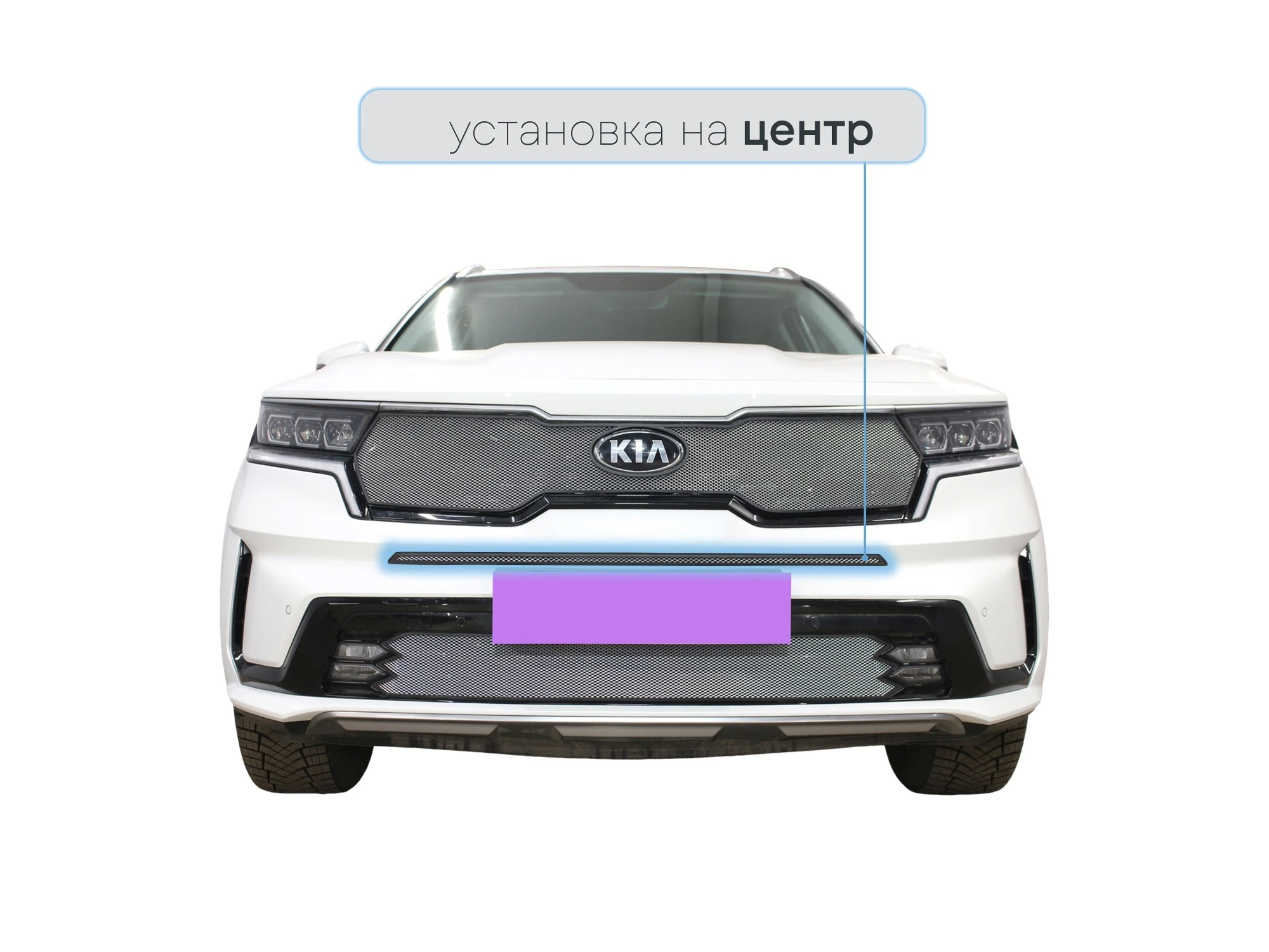 Защитная сетка радиатора центр для Kia Sorento IV