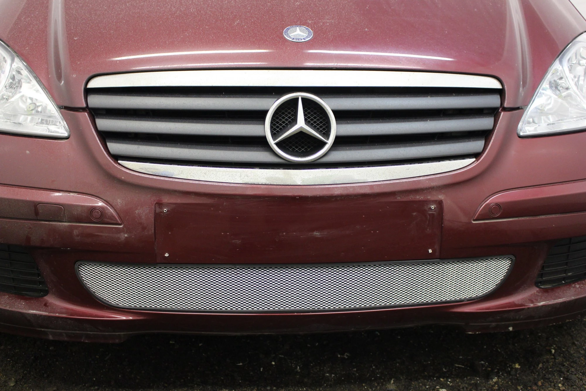 Защитная сетка радиатора для Mercedes-Benz A-Класс II (W169)