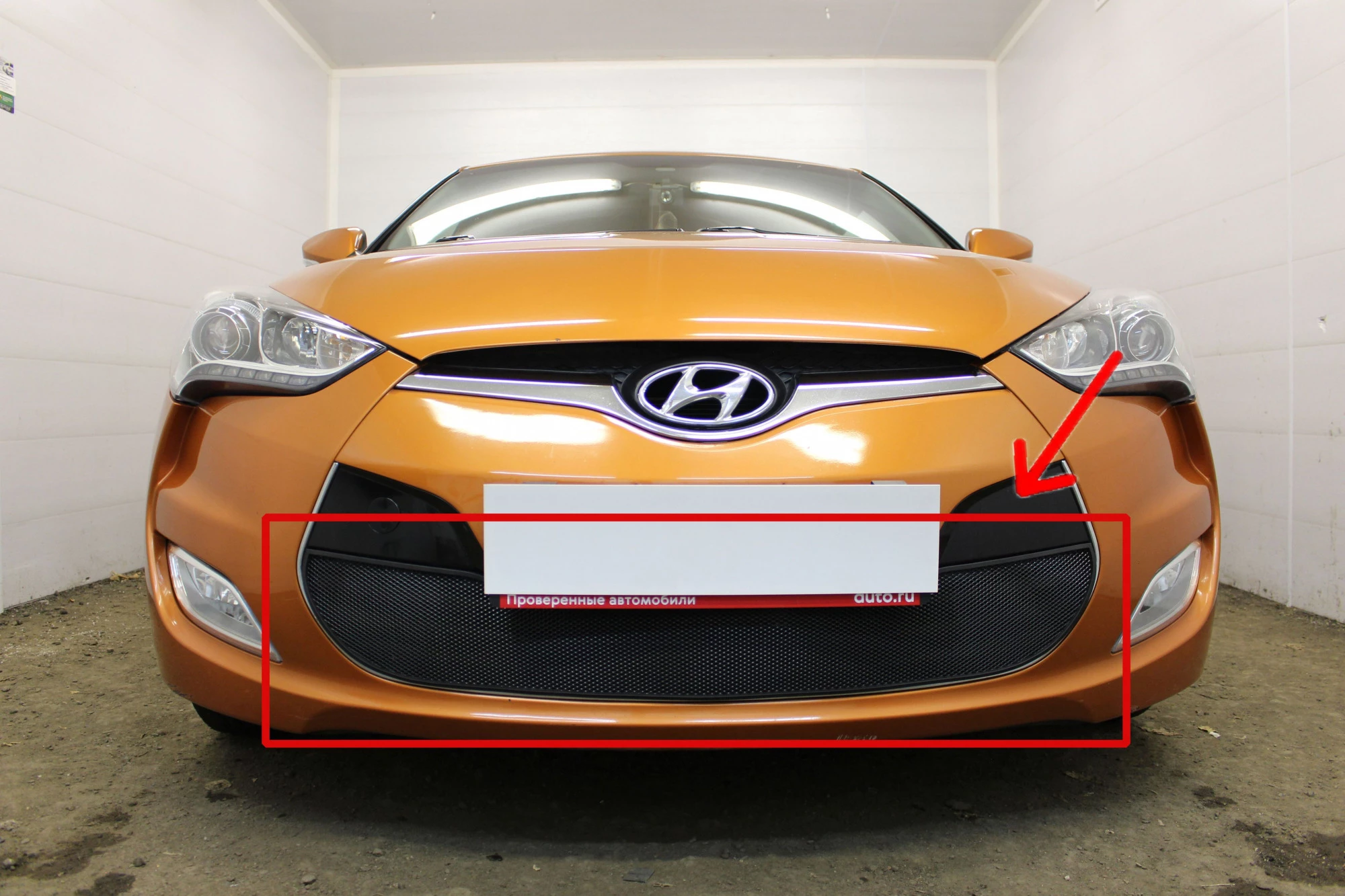Защитная сетка радиатора низ для Hyundai Veloster I Черный