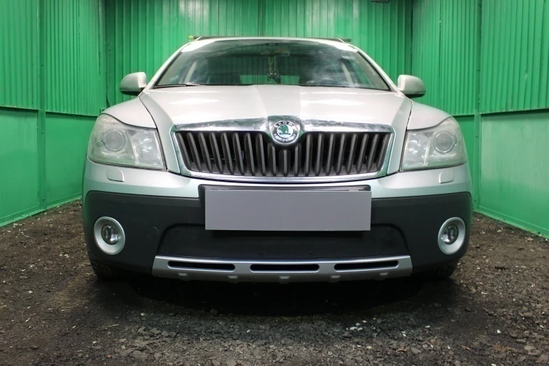 Защитная сетка радиатора для Skoda Octavia II (A5) Черный Стрелка 11 SKA5.04.SC.black