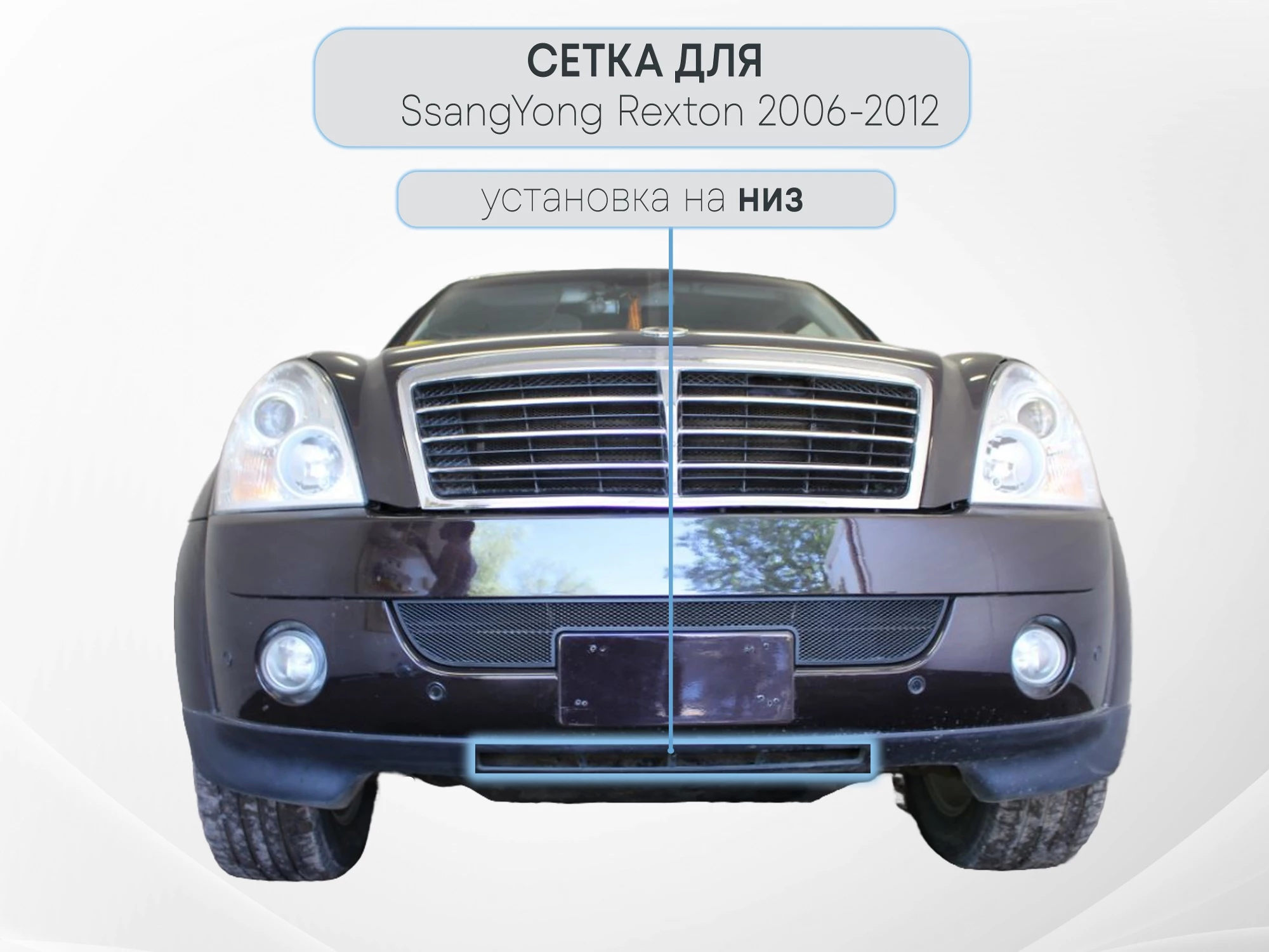 Защитная сетка радиатора для SsangYong Rexton II