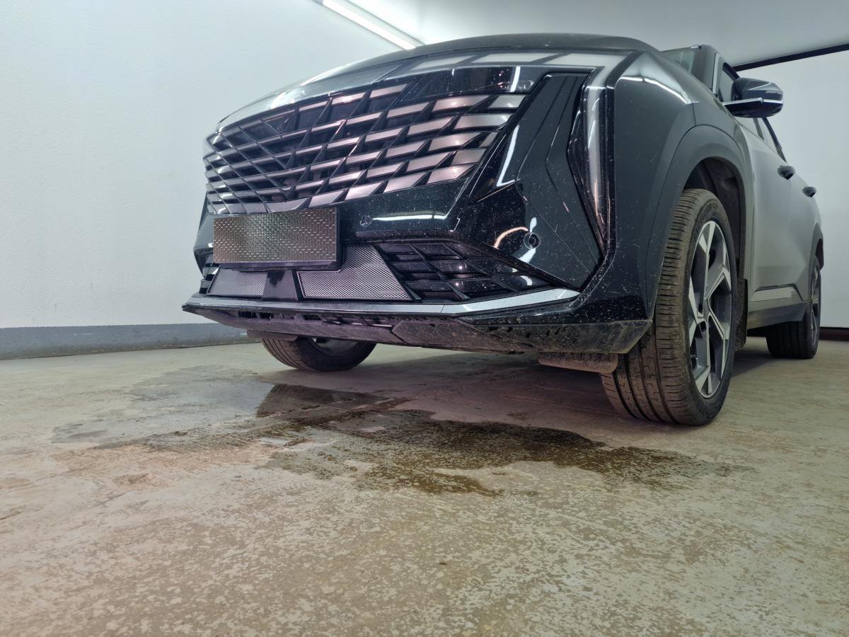 Защитная сетка радиатора низ 2 части для Geely Atlas II