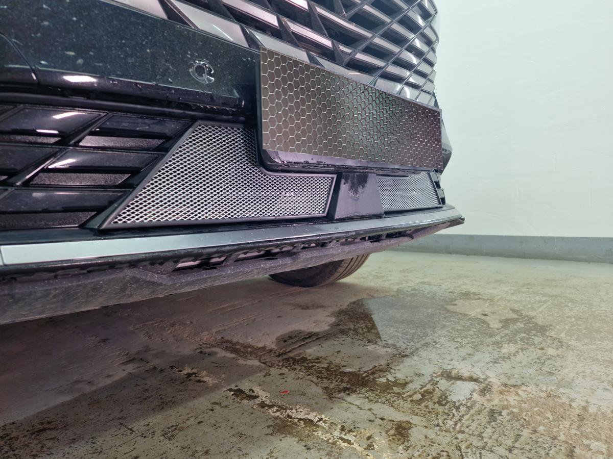 Защитная сетка радиатора низ 2 части для Geely Atlas II