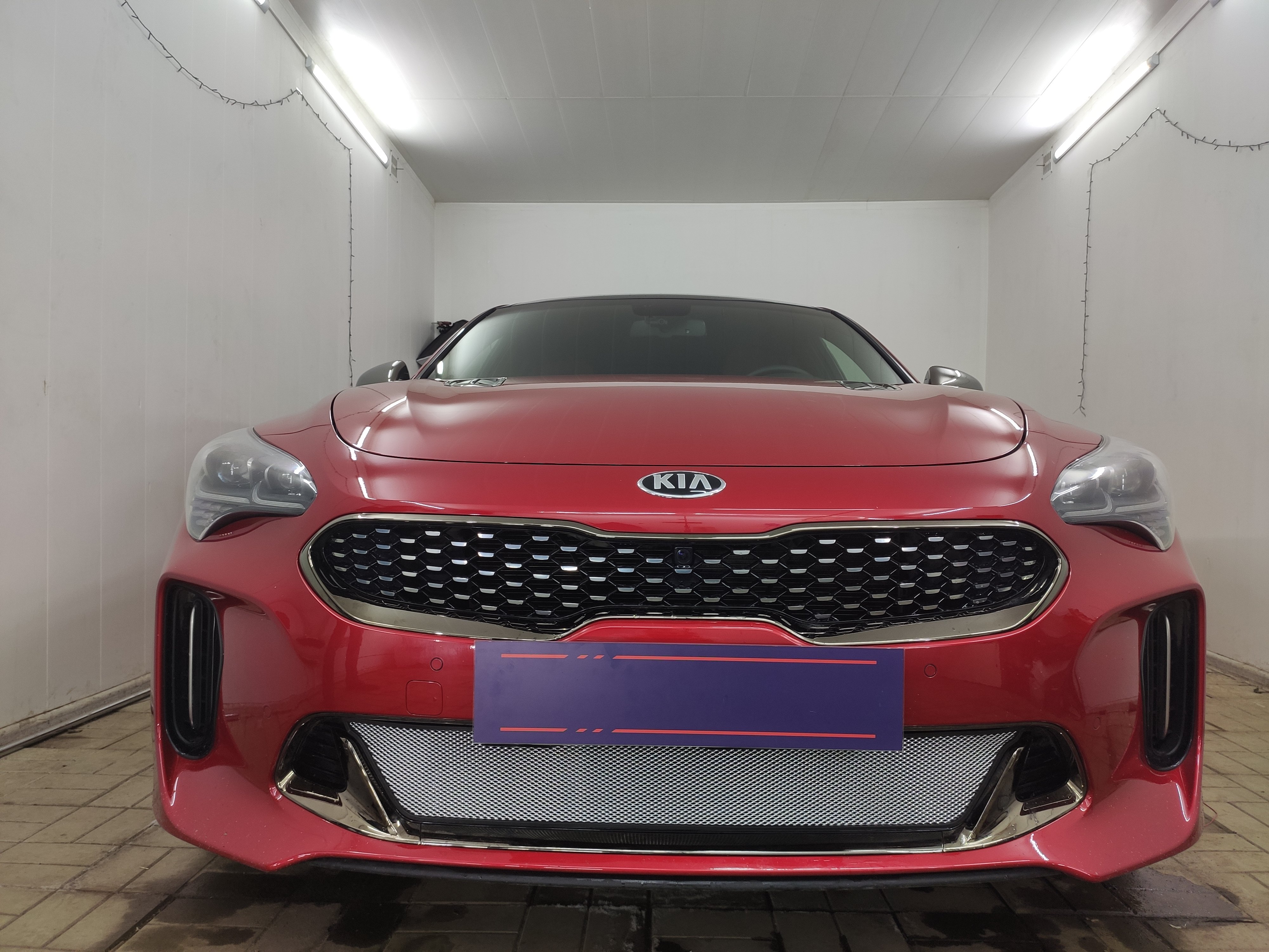 Защитная сетка радиатора низ для Kia Stinger I