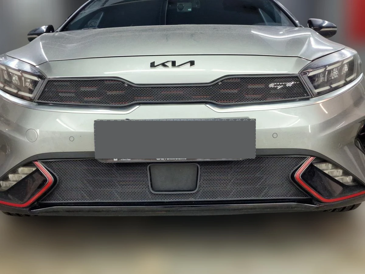 Комплект сеток black верх и низ для Kia K3 II Рестайлинг