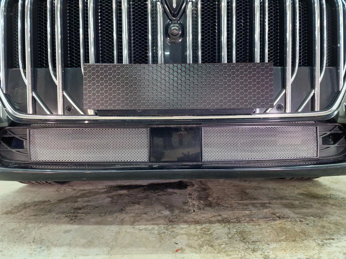 Защитная сетка радиатора низ 2 части для Voyah Dream I