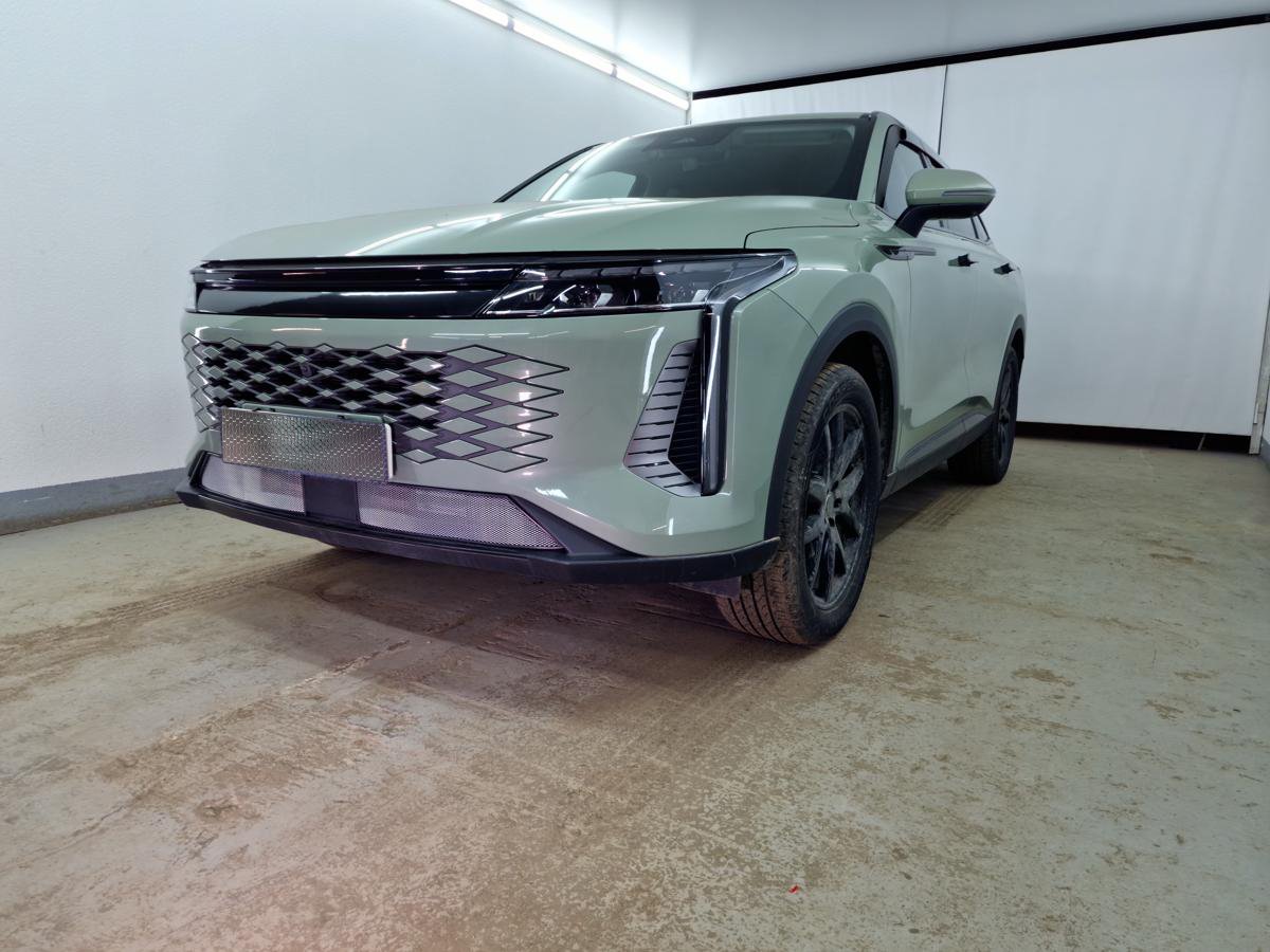 Защитная сетка радиатора низ 2 части для EXEED RX