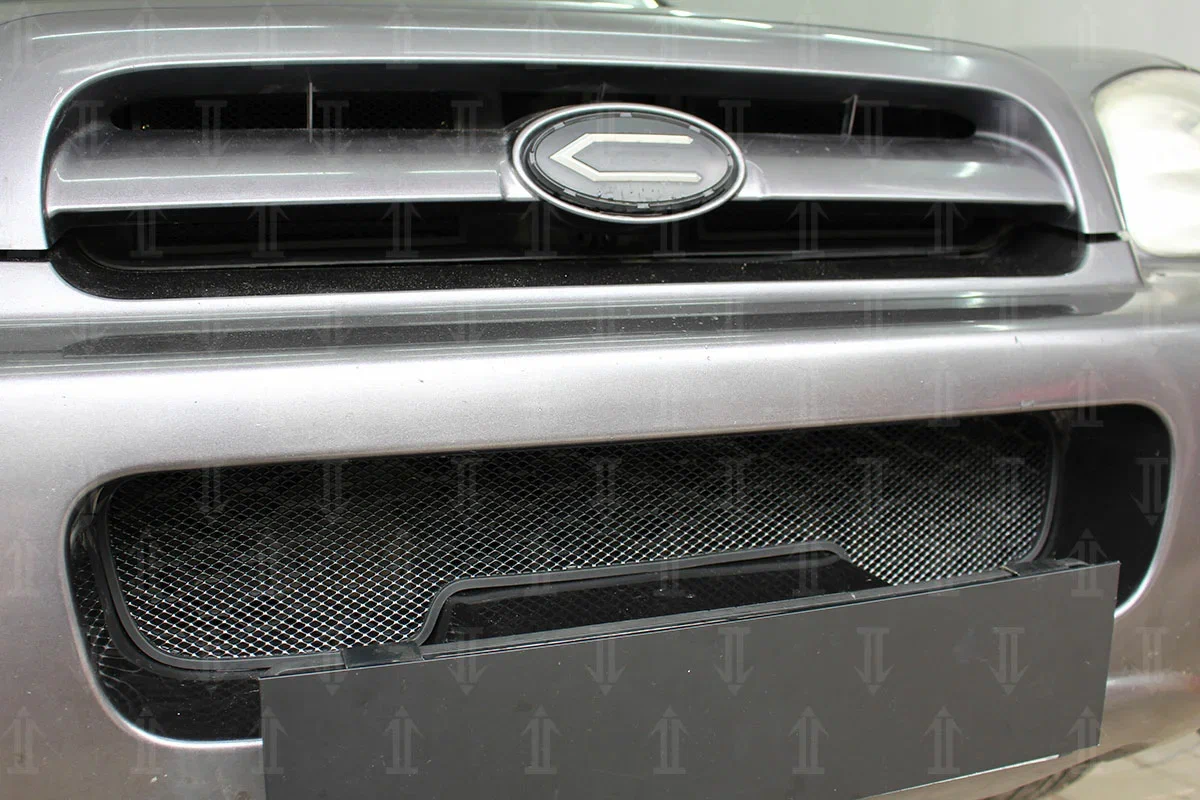 Защитная сетка радиатора верх 2 части для Hyundai Santa Fe I