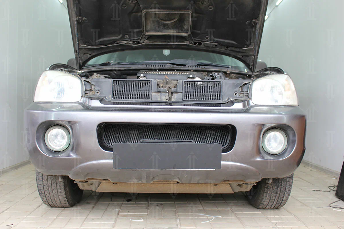 Защитная сетка радиатора верх 2 части для Hyundai Santa Fe I