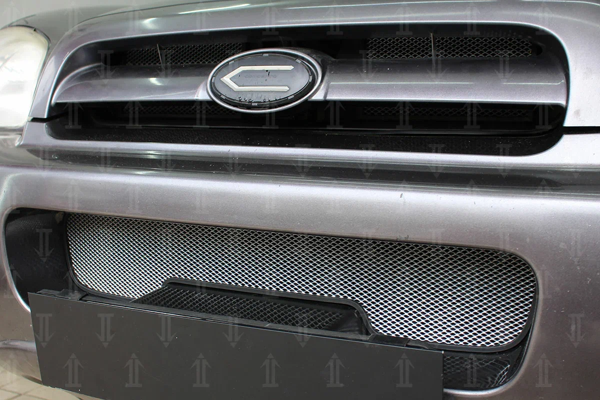 Защитная сетка радиатора низ для Hyundai Santa Fe I