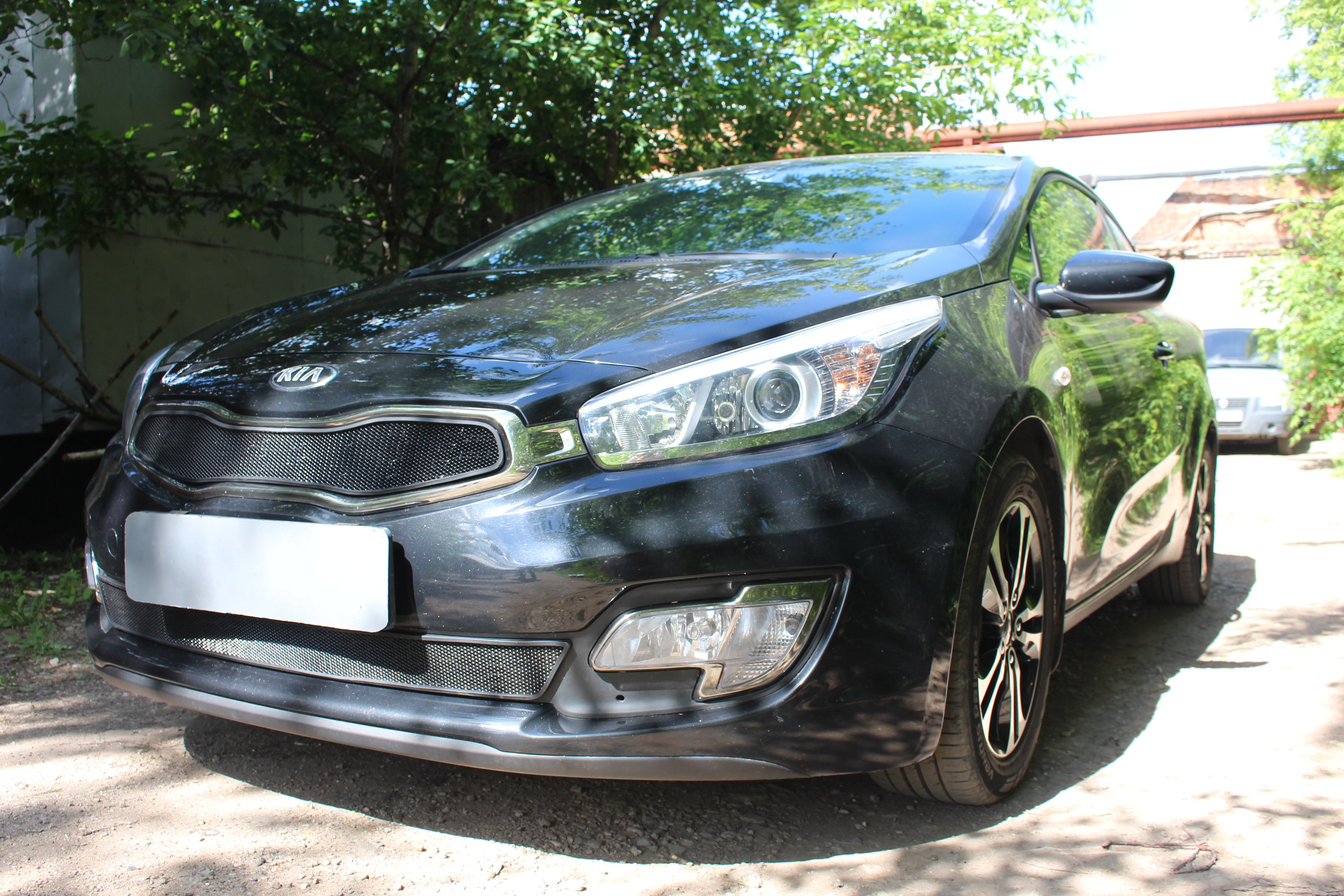 Защитная сетка радиатора верх для Kia Proceed II