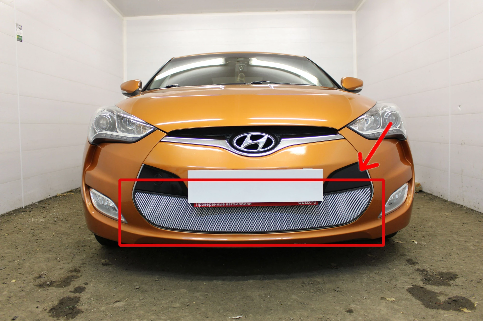Защитная сетка радиатора низ для Hyundai Veloster I Хром