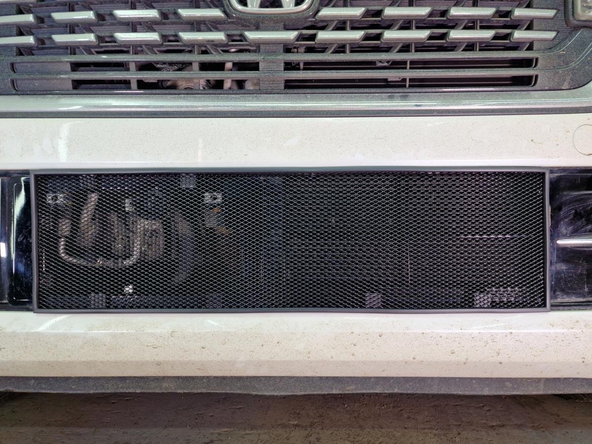 Защитная сетка радиатора низ для Honda N-WGN II Рестайлинг