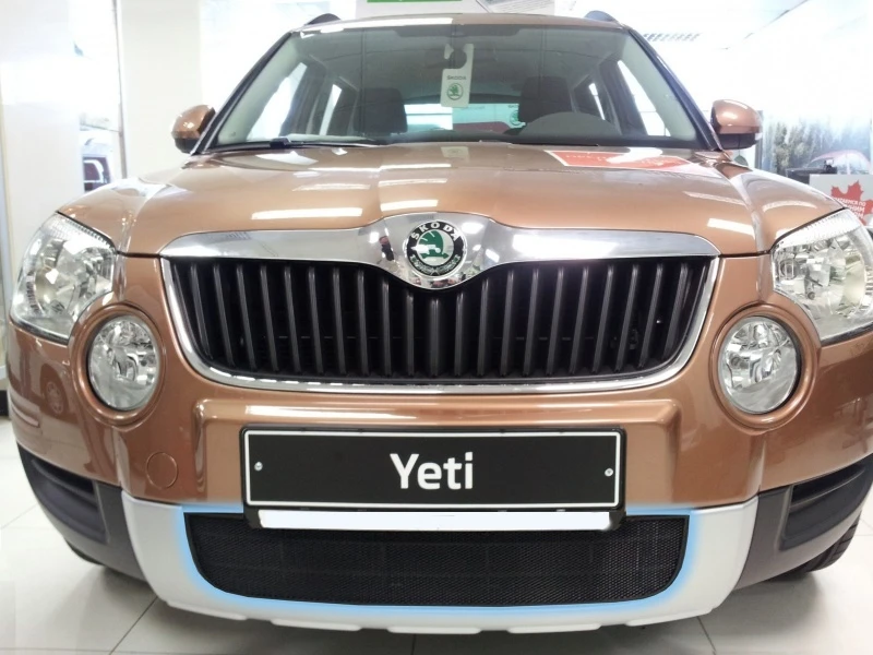 Защитная сетка радиатора для Skoda Yeti I Черный Стрелка 11 SKYT.black