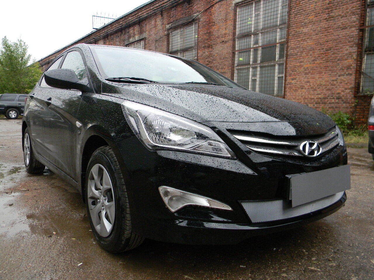 Защитная сетка радиатора низ белая для Hyundai Solaris I Рестайлинг