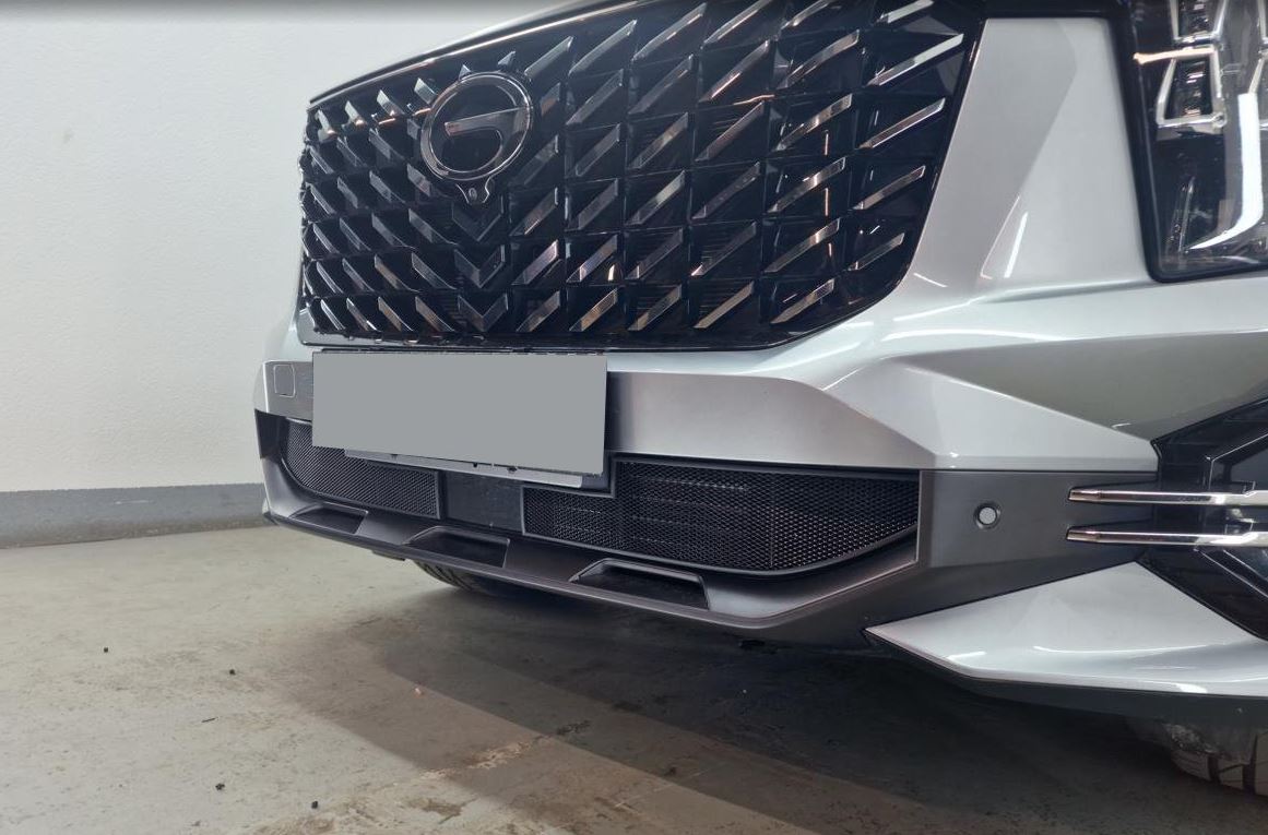 Защитная сетка радиатора низ 2 части, с датчиком ACC для GAC GS8 II