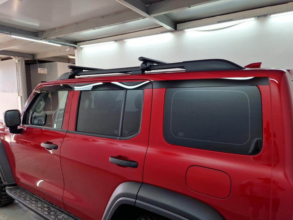 Дефлекторы окон 2D 6 шт для TANK 300