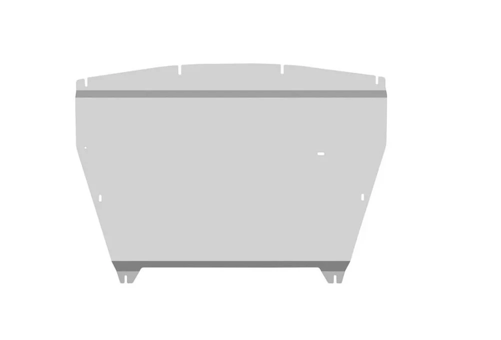 Защита переднего электромотора для Voyah Dream I