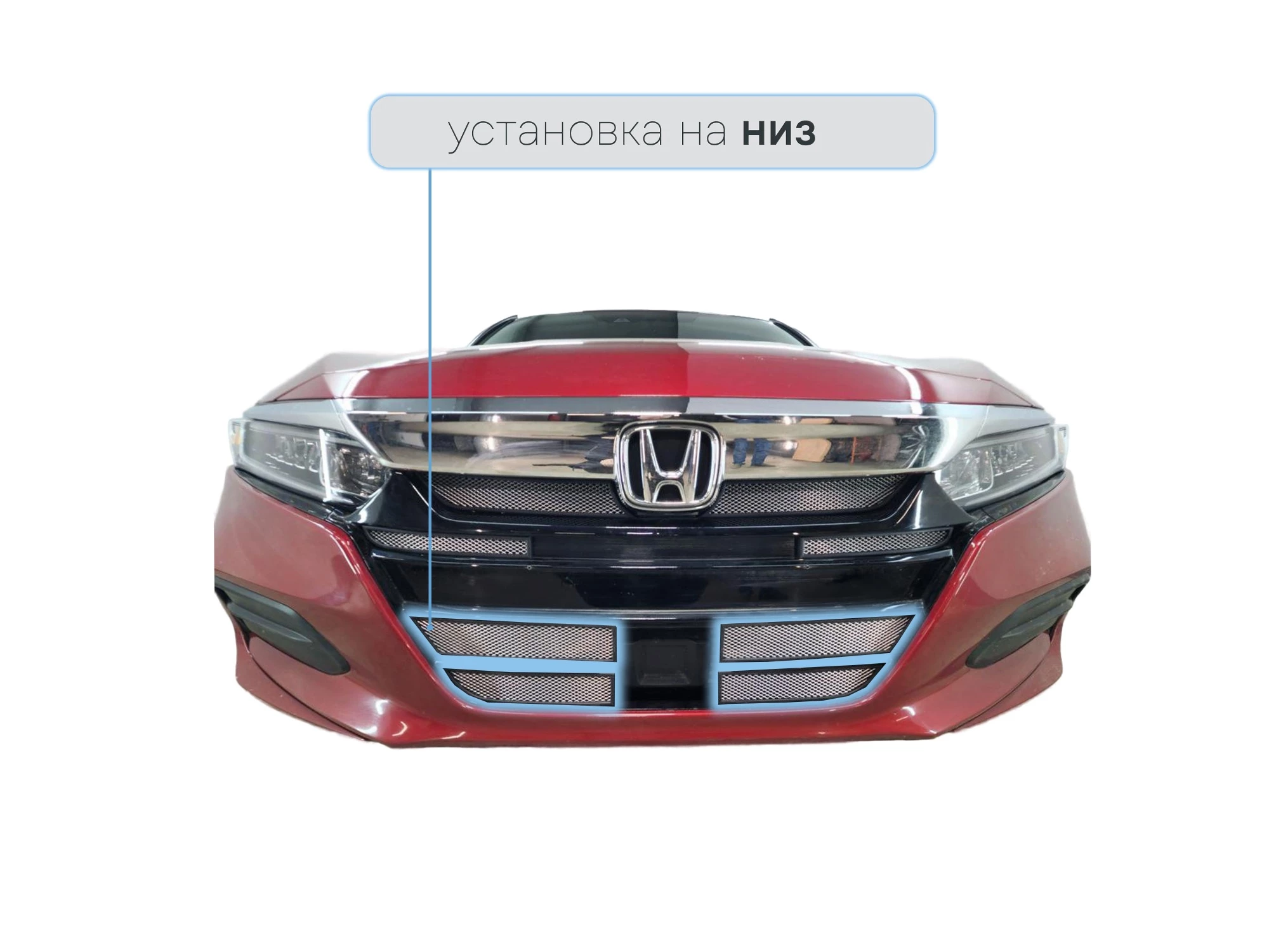 Защитная сетка радиатора низ 4 части для Honda Accord X
